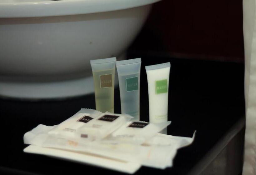 اتاق سوپریور, Casablanca Suites Near Airport