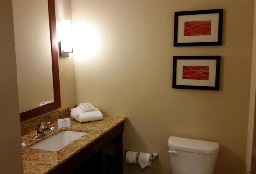 اتاق استاندارد, Comfort Inn & Suites West   Medical Center