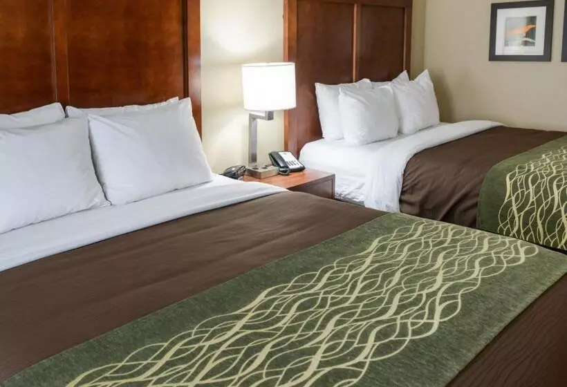 スタンダードルーム, Comfort Inn & Suites West   Medical Center