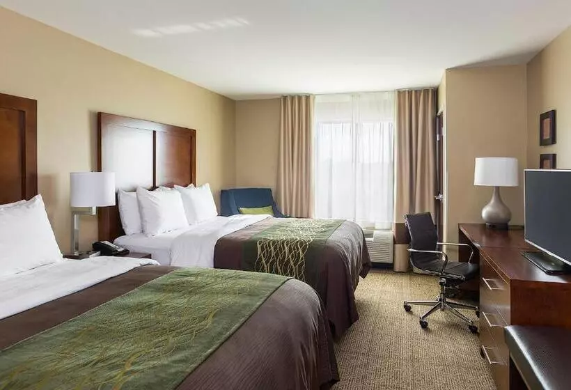 スタンダードルーム, Comfort Inn & Suites West   Medical Center