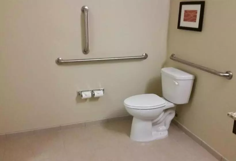身障者適用スイートルーム, Comfort Inn & Suites West   Medical Center