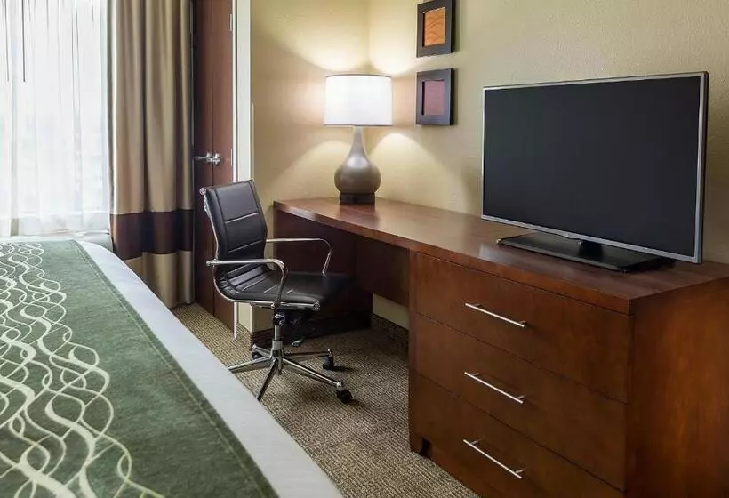 身障者適用スイートルーム, Comfort Inn & Suites West   Medical Center