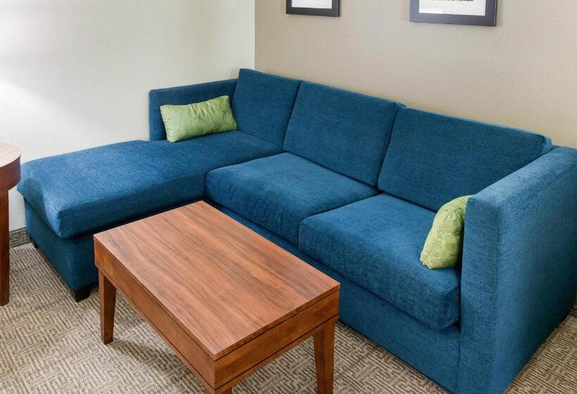 سوئیت برای معلولان, Comfort Inn & Suites West   Medical Center