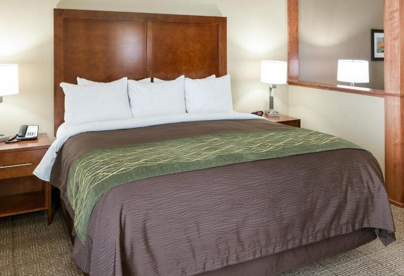 장애인을 위한 스위트, Comfort Inn & Suites West   Medical Center