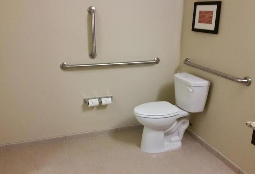 اتاق استاندارد با تخت بزرگ برای معلولان, Comfort Inn & Suites West   Medical Center