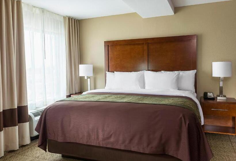 اتاق استاندارد با تخت بزرگ برای معلولان, Comfort Inn & Suites West   Medical Center