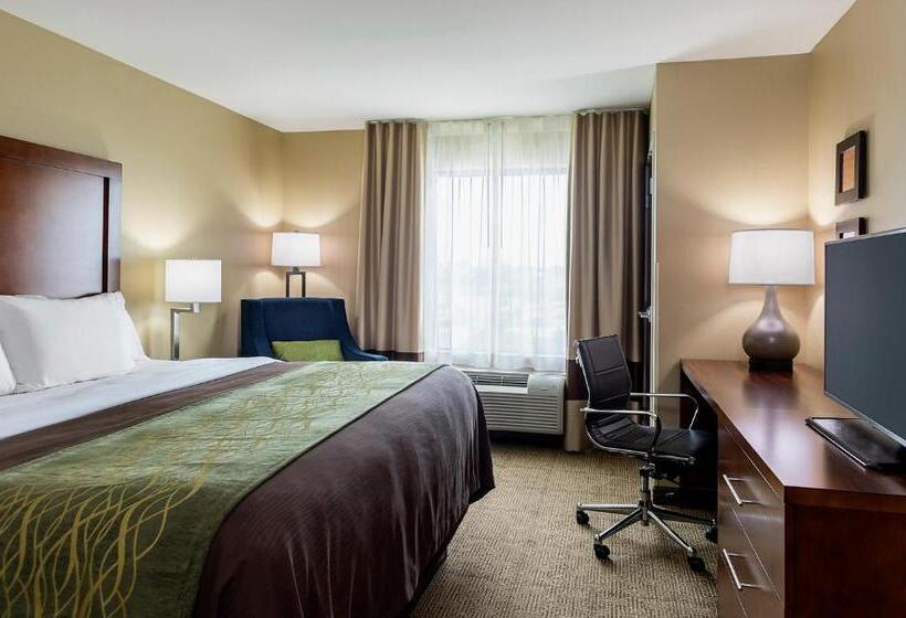 اتاق استاندارد با تخت بزرگ برای معلولان, Comfort Inn & Suites West   Medical Center