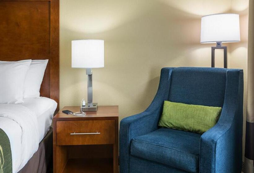 اتاق استاندارد با تخت بزرگ برای معلولان, Comfort Inn & Suites West   Medical Center