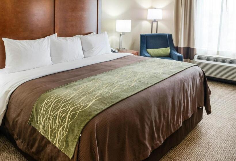 장애인을 위한 킹사이즈 침대 스탠다드 룸, Comfort Inn & Suites West   Medical Center