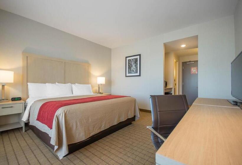 キングサイズベッドのスタンダードルーム, Comfort Inn & Suites