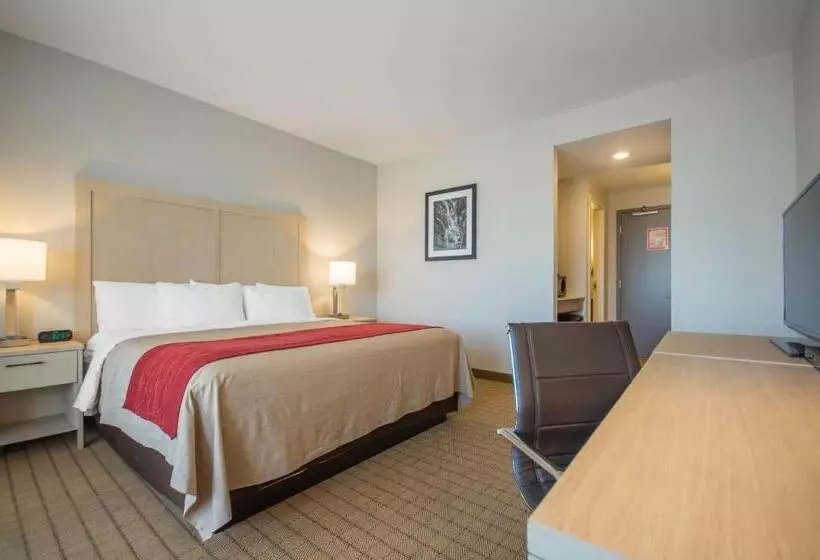 キングサイズベッドのスタンダードルーム, Comfort Inn & Suites
