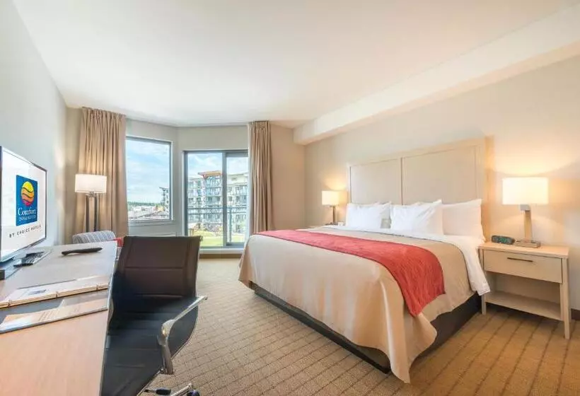 キングサイズベッドのスタンダードルーム, Comfort Inn & Suites