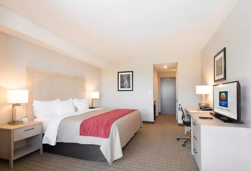 キングサイズベッドのスタンダードルーム, Comfort Inn & Suites