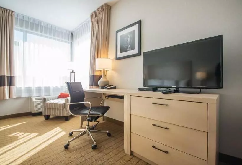 キングサイズベッドのスタンダードルーム, Comfort Inn & Suites