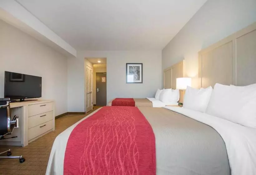 スタンダードルーム, Comfort Inn & Suites