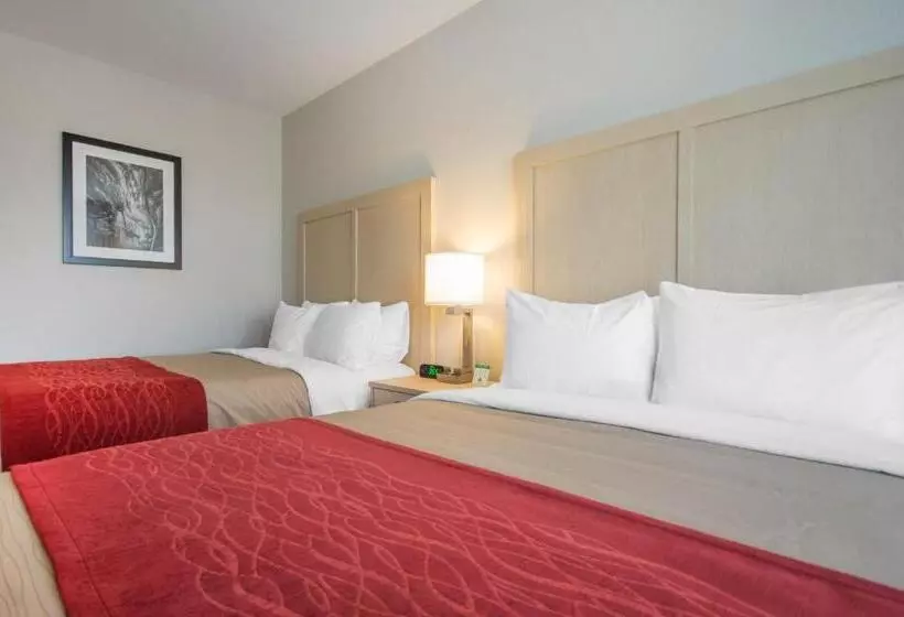 スタンダードルーム, Comfort Inn & Suites