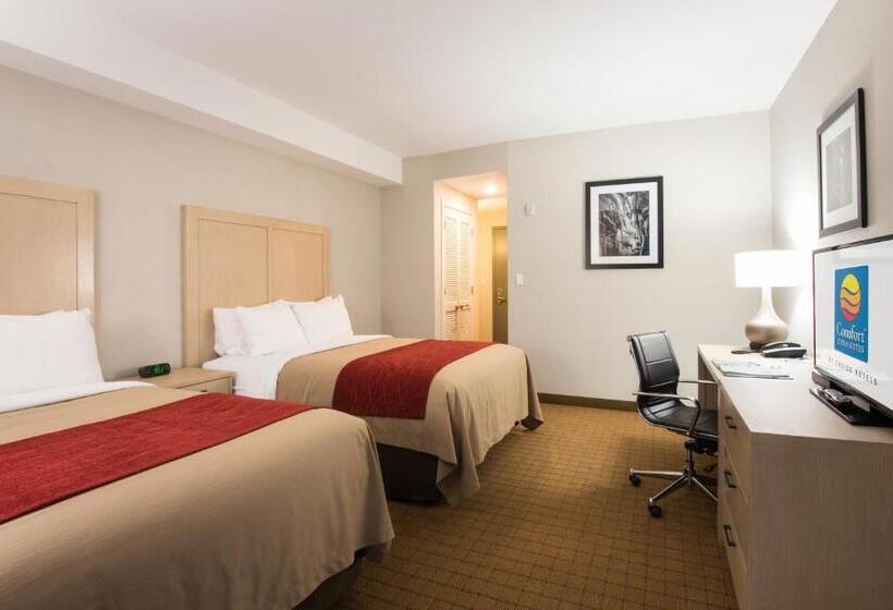 غرفة قياسية, Comfort Inn & Suites