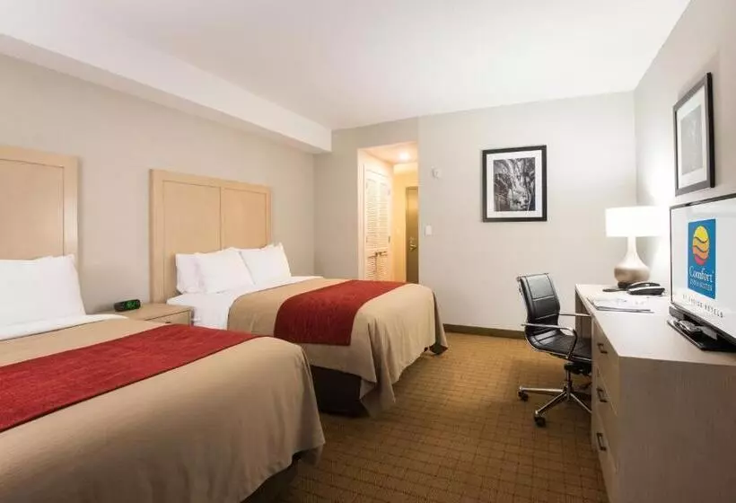 スタンダードルーム, Comfort Inn & Suites