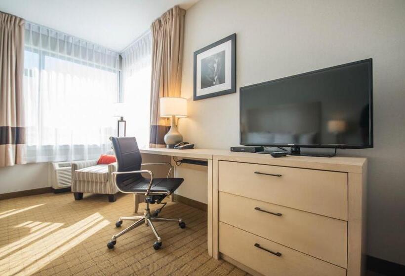 غرفة قياسية, Comfort Inn & Suites