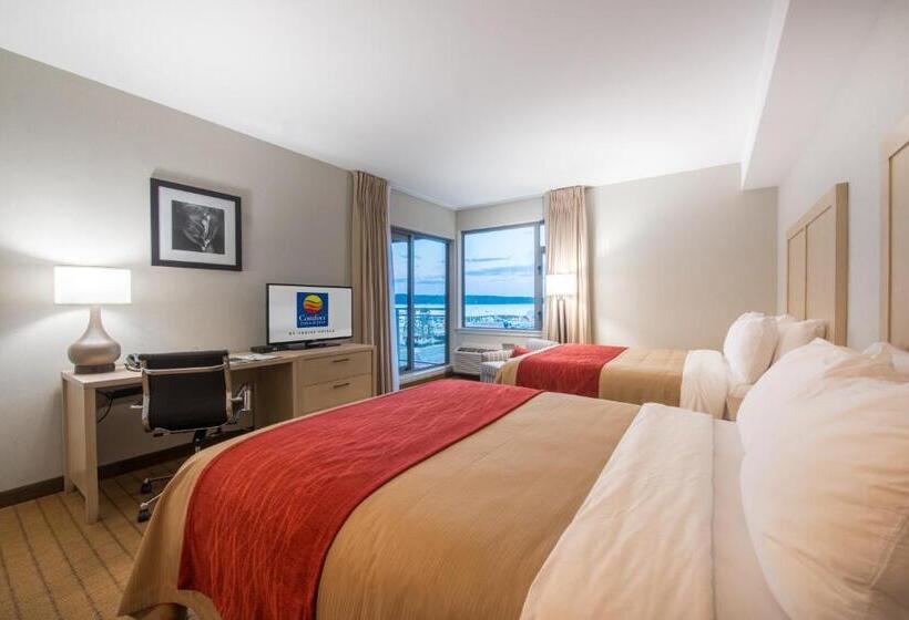 غرفة ديلوكس مطلّة علي البحر, Comfort Inn & Suites