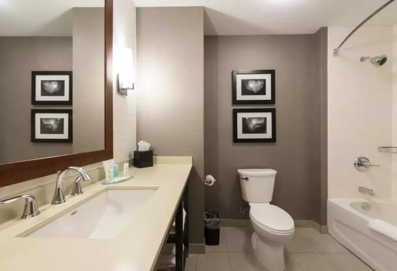 オーシャンビューデラックスルーム, Comfort Inn & Suites