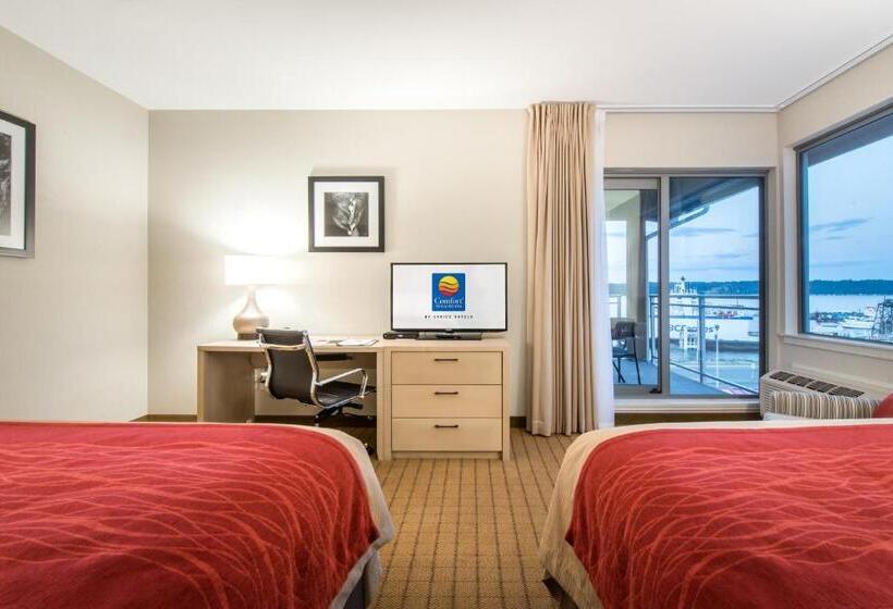 オーシャンビューデラックスルーム, Comfort Inn & Suites
