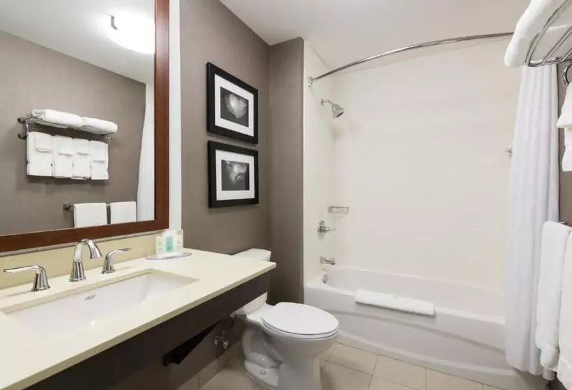 オーシャンビューデラックスルーム, Comfort Inn & Suites