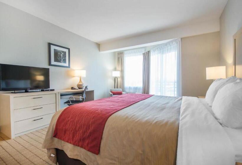 غرفة قياسية سرير كينج, Comfort Inn & Suites