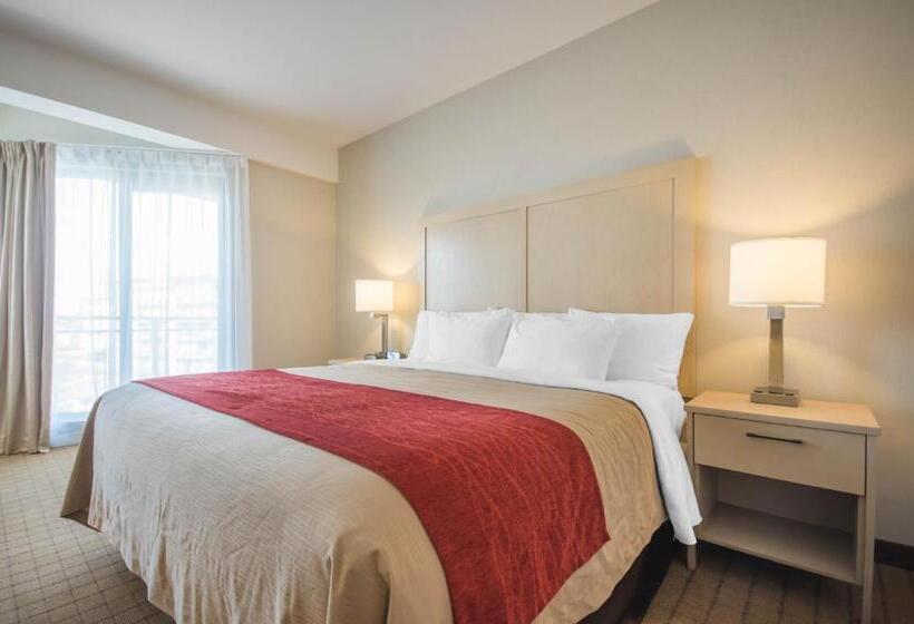 غرفة قياسية سرير كينج, Comfort Inn & Suites