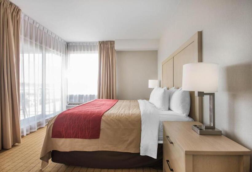 جناح سرير كينج, Comfort Inn & Suites