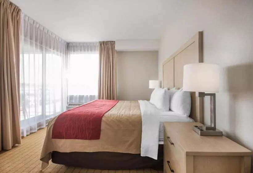 キングサイズベッドのスイートルーム, Comfort Inn & Suites