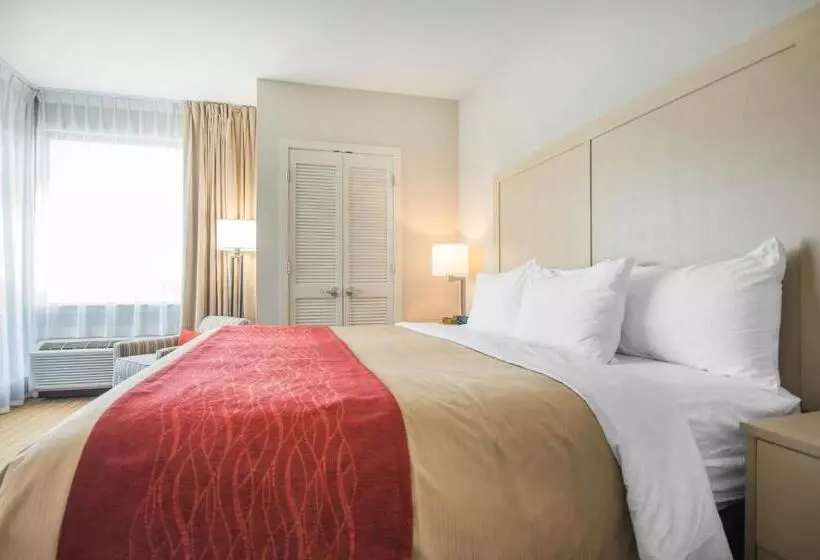 キングサイズベッドのスイートルーム, Comfort Inn & Suites