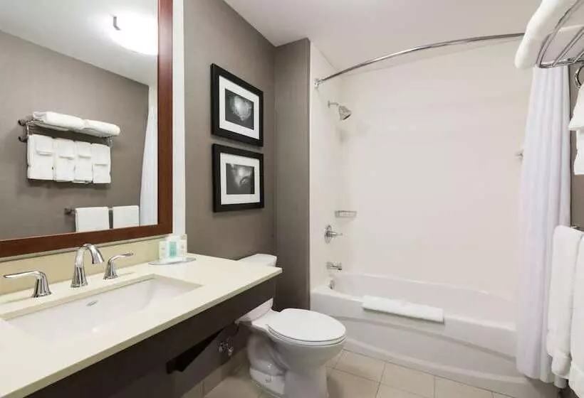 ２ダブルベッドのスタンダードルーム, Comfort Inn & Suites