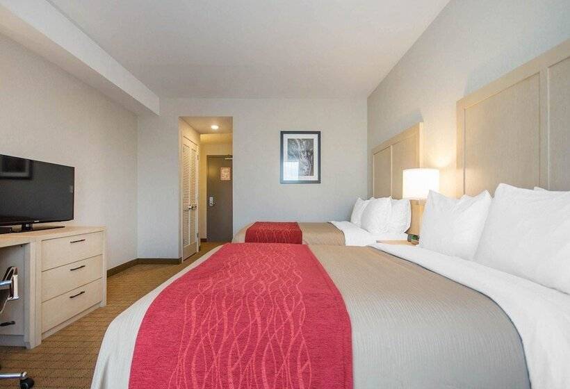 غرفه قياسيه سريرين مزدوجين, Comfort Inn & Suites