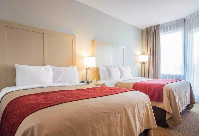 ２ダブルベッドのスタンダードルーム, Comfort Inn & Suites