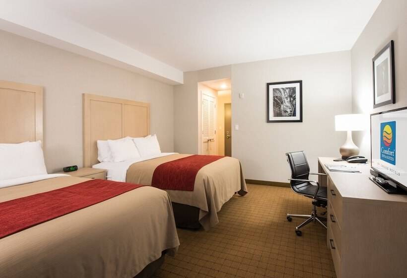 ２ダブルベッドのスタンダードルーム, Comfort Inn & Suites