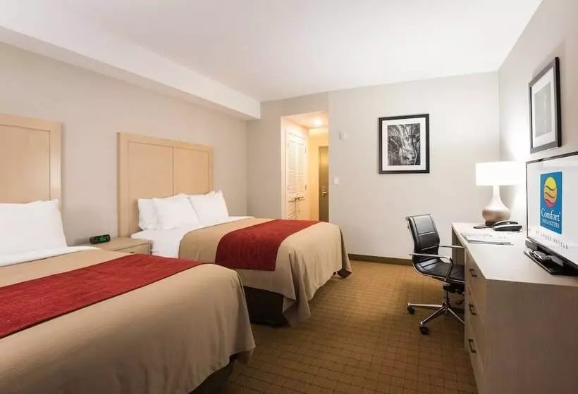 ２ダブルベッドのスタンダードルーム, Comfort Inn & Suites