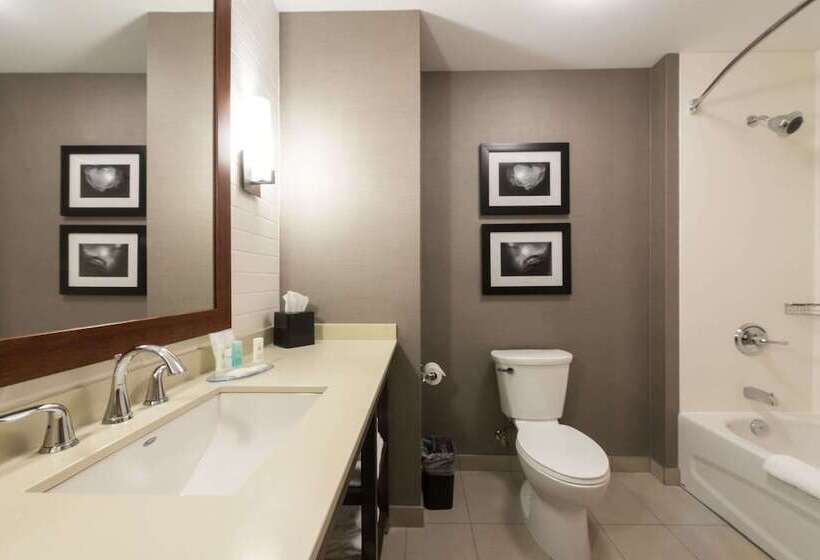 غرفه قياسيه سريرين مزدوجين, Comfort Inn & Suites