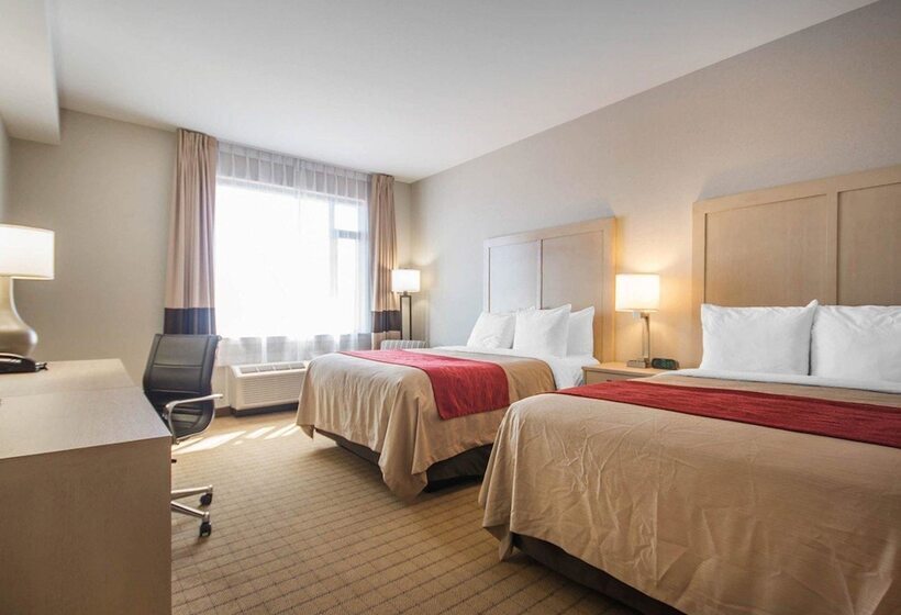 غرفه قياسيه سريرين مزدوجين, Comfort Inn & Suites