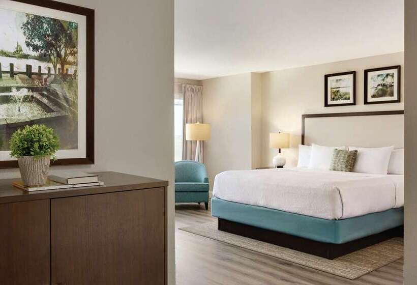Quarto Estandar Cama King para Deficientes Físicos, Hilton Wenchang