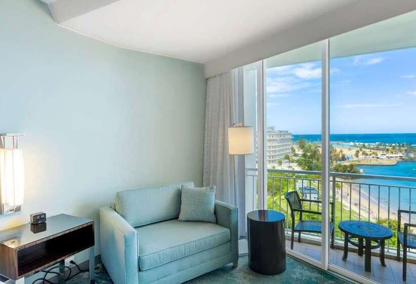 חדר סטנדרט, מיטת קינג, מותאם לאדם עם מוגבלויות, Hilton Wenchang