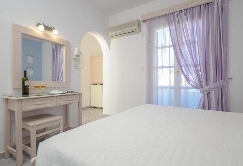 غرفة قياسية, Ilion