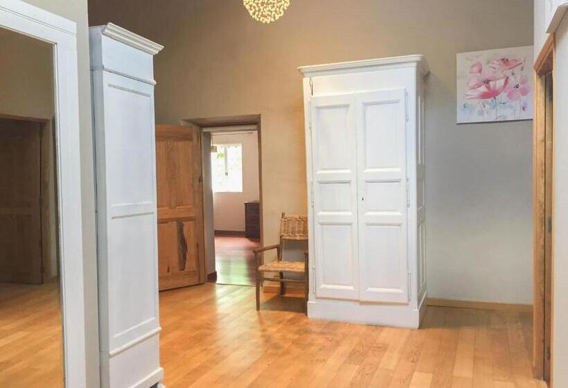 ベーシックルーム, Domaine De Rochebelle