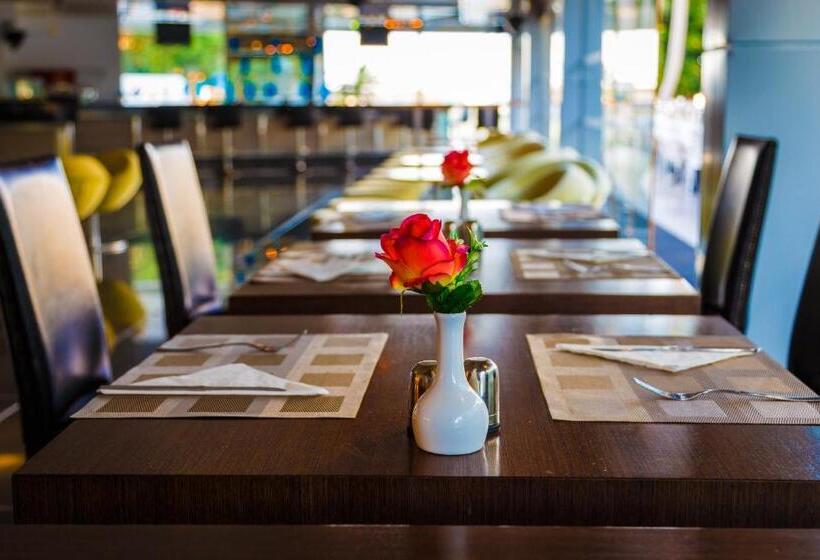 استودیوی استاندارد, The Residence Suites Adults Only