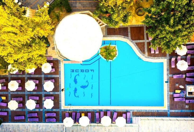 استودیوی استاندارد, The Residence Suites Adults Only