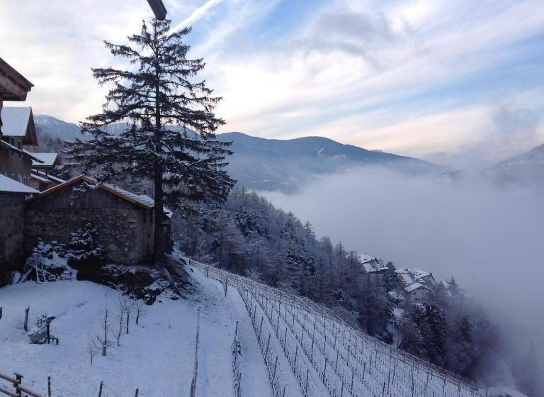 Апартаменты 1 Спальня с Видом, Buehlerhof Agriturismo, Obst &weingut, Urlaub Mit Hund, Pferde, Bauernhof, Brixen