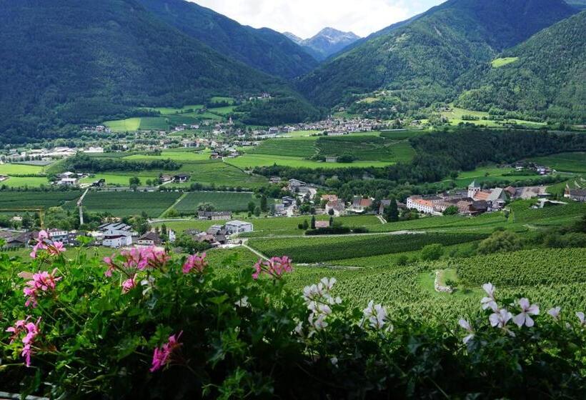 דירה בת חדר שינה 1 עם נוף, Buehlerhof Agriturismo, Obst &weingut, Urlaub Mit Hund, Pferde, Bauernhof, Brixen