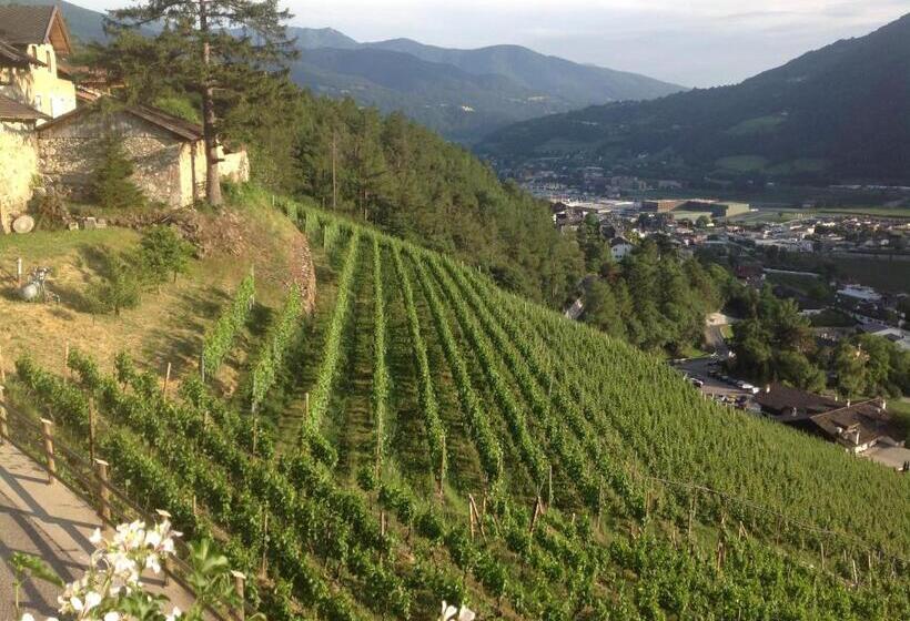 דירת שני חדרים, Buehlerhof Agriturismo, Obst &weingut, Urlaub Mit Hund, Pferde, Bauernhof, Brixen