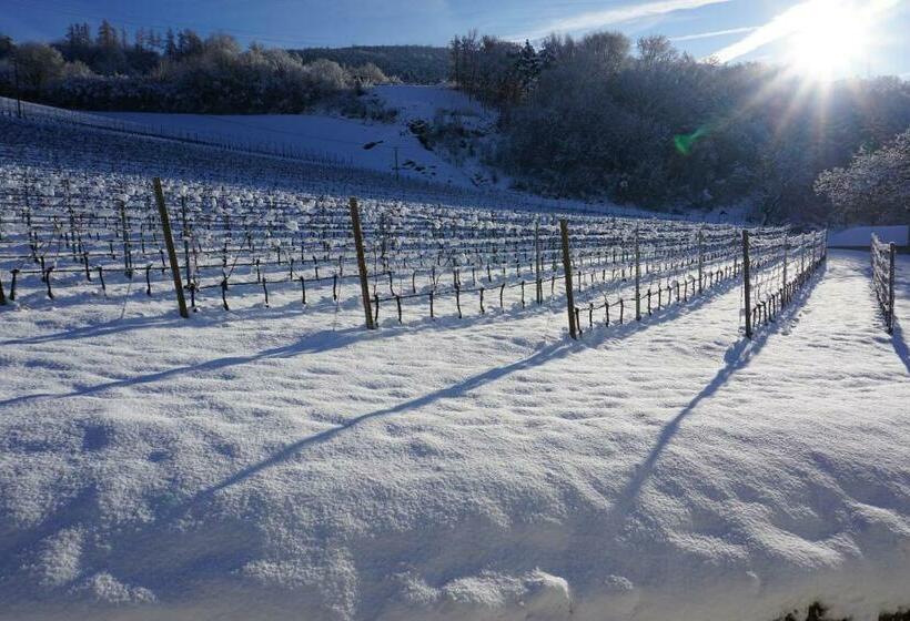 Апартаменты 2 Спальни, Buehlerhof Agriturismo, Obst &weingut, Urlaub Mit Hund, Pferde, Bauernhof, Brixen