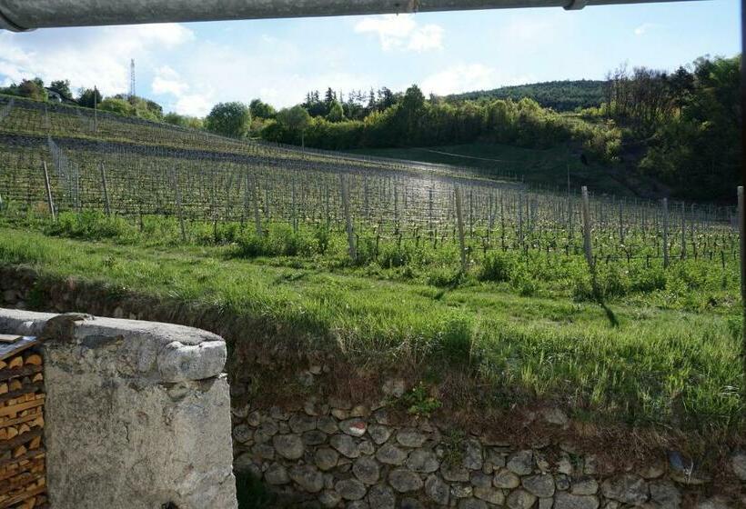 דירת שני חדרים, Buehlerhof Agriturismo, Obst &weingut, Urlaub Mit Hund, Pferde, Bauernhof, Brixen